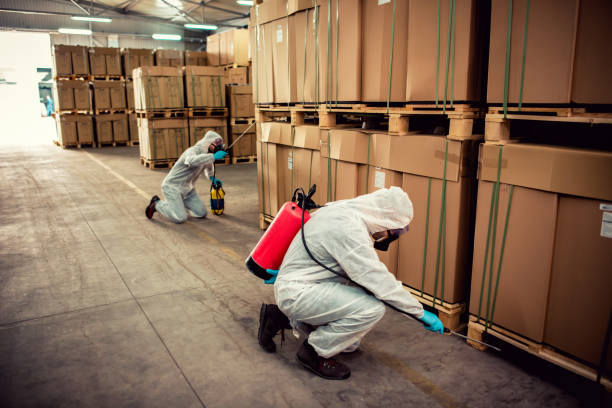 Best Pest Inspection Near Me  in Homerville, GA