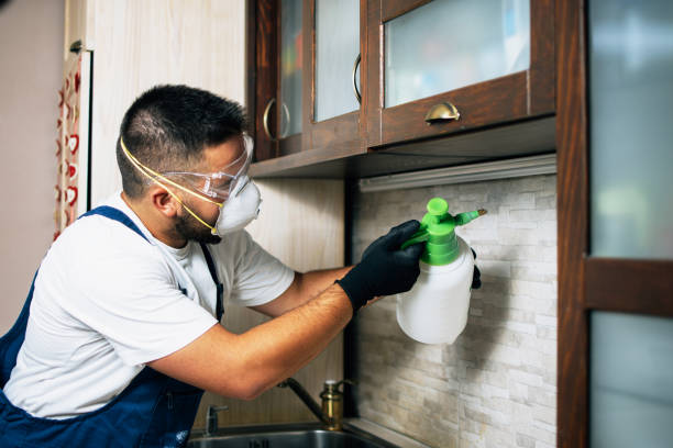Best Pest Control Near Me  in Homerville, GA