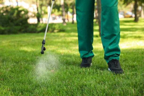 Best Best Pest Control Companies  in Homerville, GA