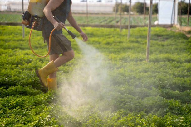 Best Commercial Pest Control Services  in Homerville, GA