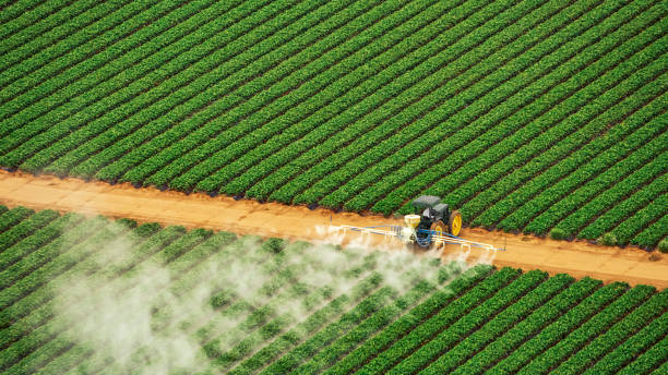 Best Termite Control Services  in Homerville, GA