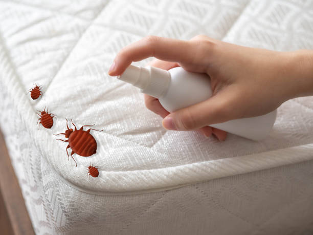 Best Pest Prevention Services  in Homerville, GA