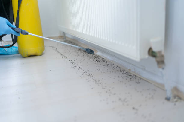 Trusted Homerville, GA Pest Control Experts