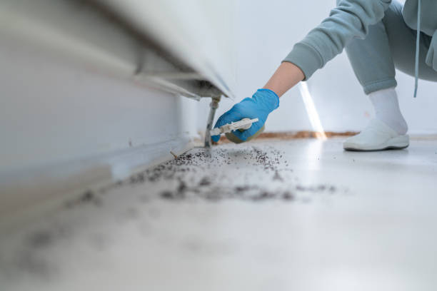Best Bed Bug Extermination  in Homerville, GA