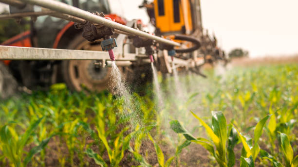 Best Mosquito Control Services  in Homerville, GA
